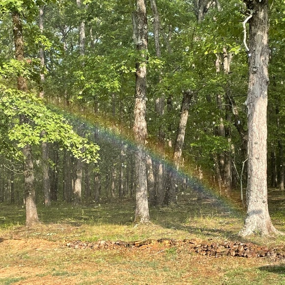 🦋Meet your Posher, Katy🦋 - Picture 7 of 12